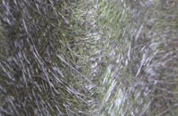 Chesham fibreglass roof work